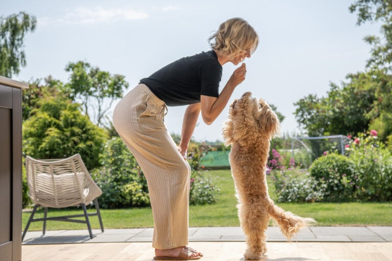 A woman in light pants and a black top is training a fluffy dog to stand on its hind legs in a sunny garden, smiling and holding a treat. Glass roofing above lets in sunshine, while greenery and flowers brighten the background.