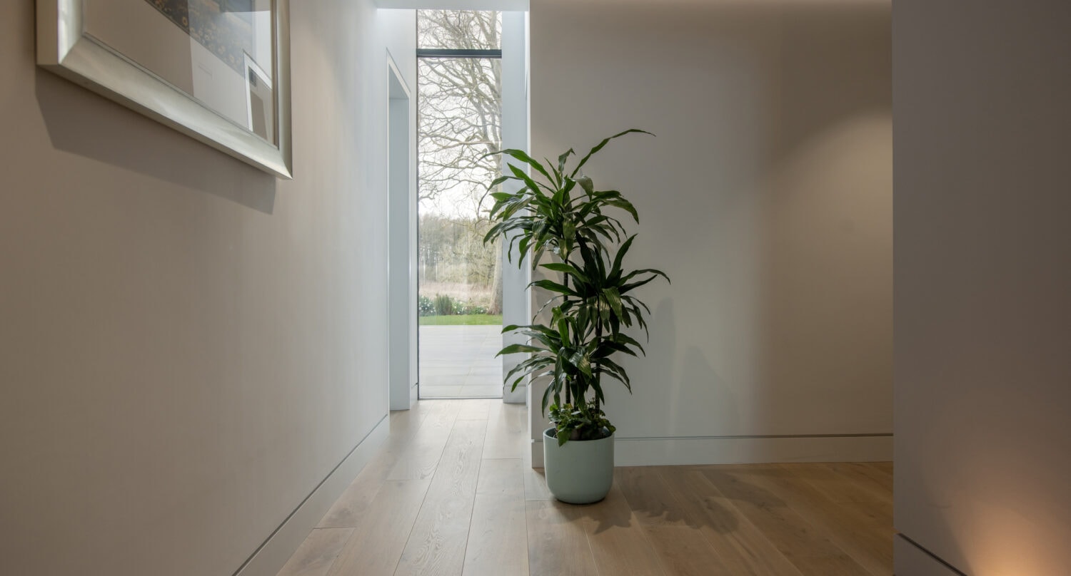 A green potted plant sits on a light wooden floor in a modern, minimal hallway with white walls, a framed picture, and natural light streaming through bifold doors and a tall window.