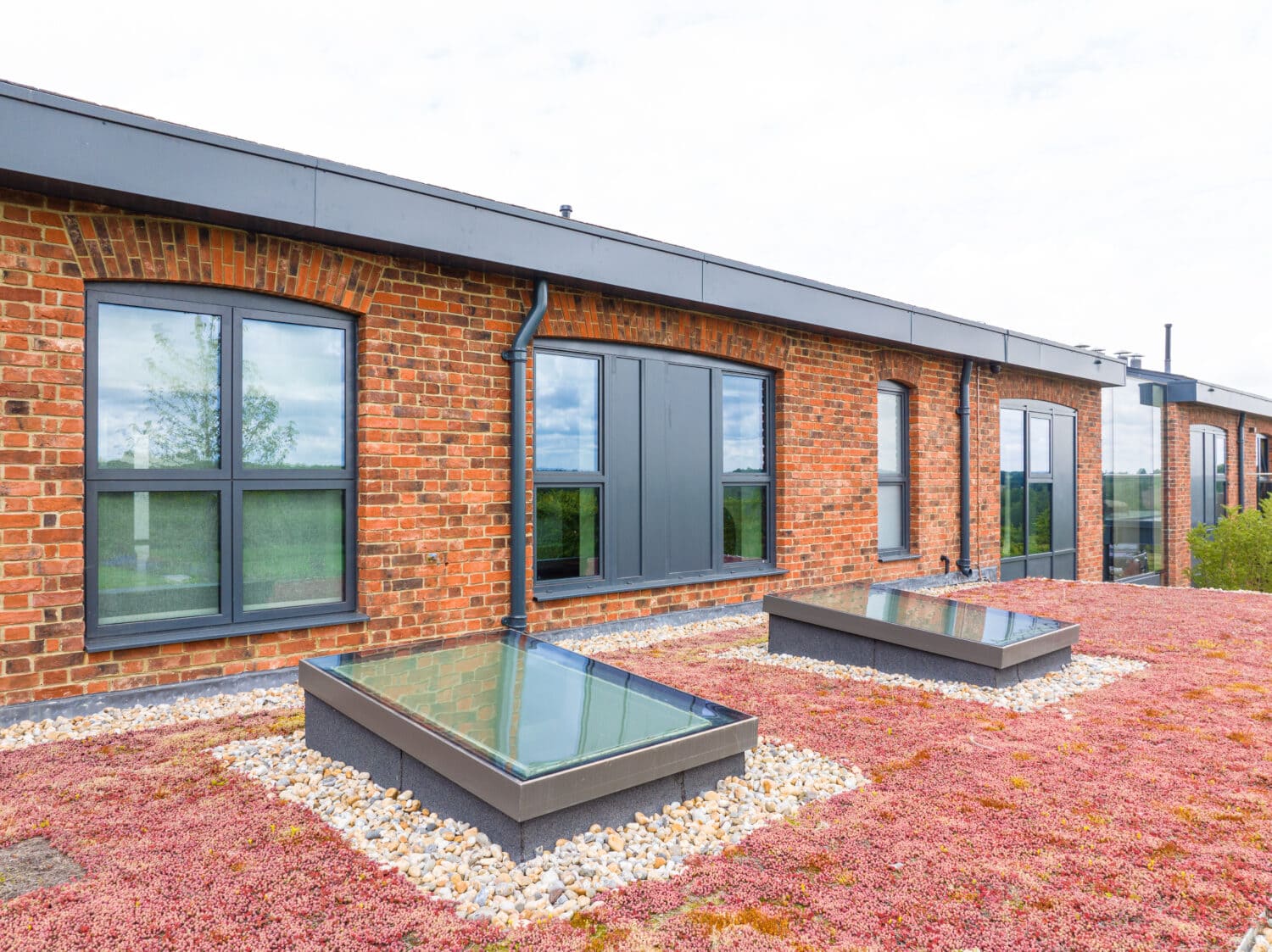 A modern flat roof with a red sedum green roof, two rectangular rooflights surrounded by gravel, and a brick building featuring large black-framed windows and bespoke glass solutions in the background.